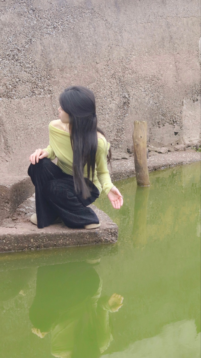 雍正王朝 封面